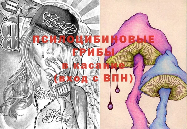 дурь Белокуриха