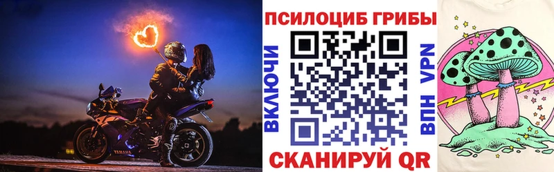 Галлюциногенные грибы прущие грибы Красавино